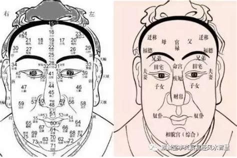 做官的命|适合“当官”的人，都有什么命理特征？